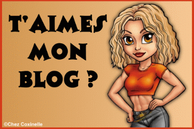 T'AIMES MON BLOG?